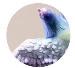 پوسترگل بلوری - Image 2
